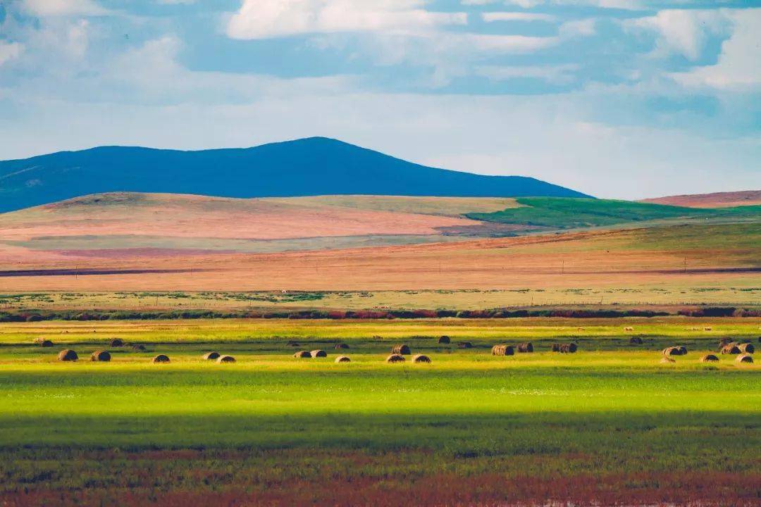 内蒙古，中华民族共同体的重要成员与美丽草原的守护者——外交部发言人评论