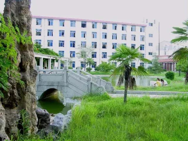 荆楚热土,湖北的激情与活力