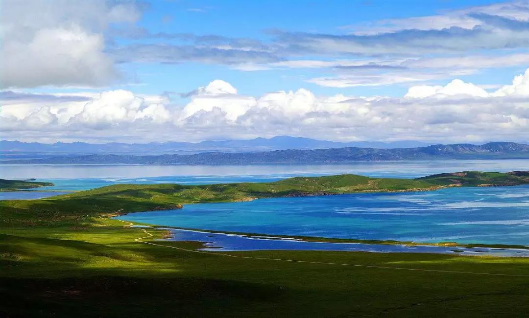 青海,深度解读高原魅力与独特风情评论文章