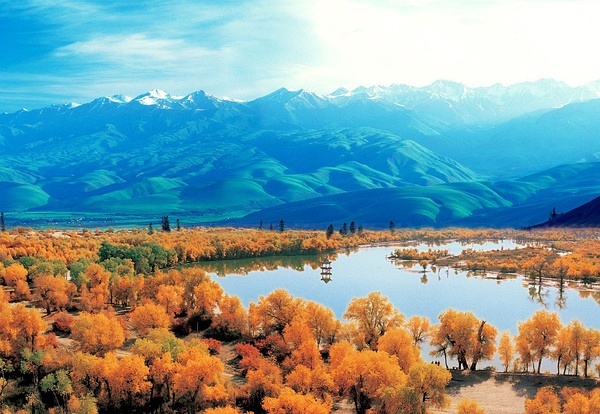 新疆,嘉宾云集,观众热情如火