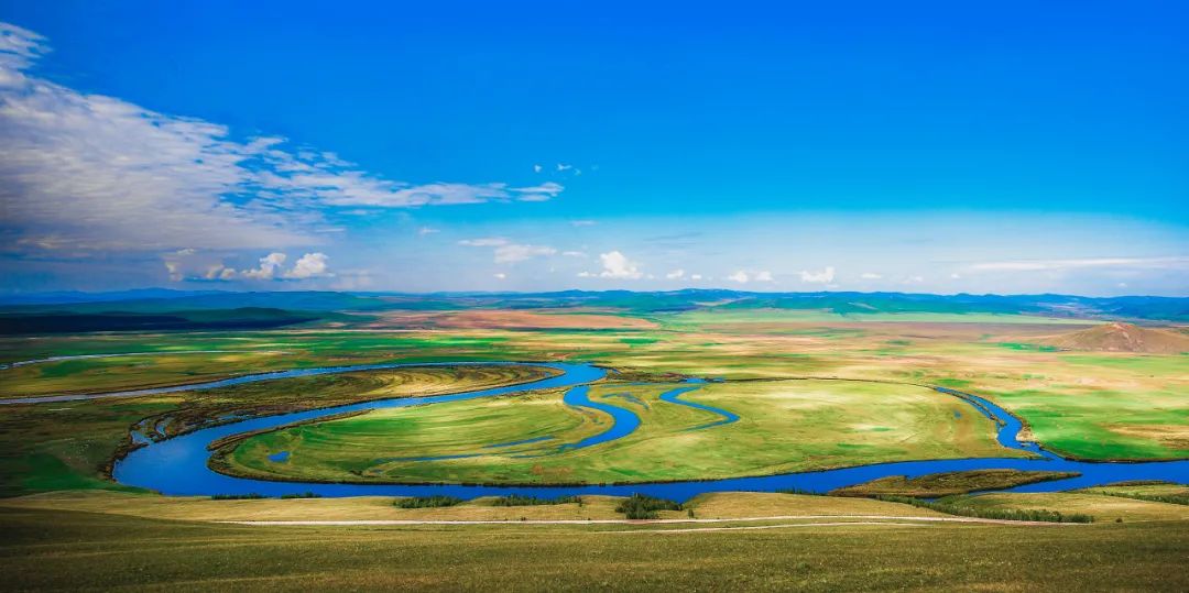 呼伦贝尔科技新品璀璨亮相,引领生活新纪元